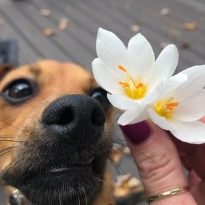 Meet your Posher, Angie